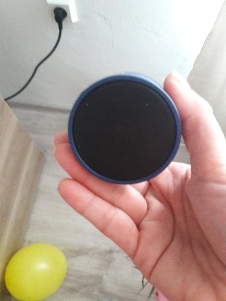 Blototh reproduktor, 