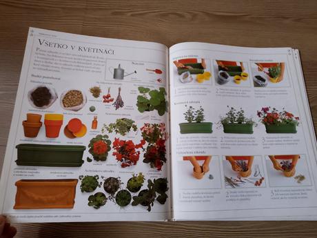 Angela wilkesová - hry na daždivý deň, 