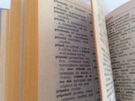 Slovensko-ruský slovník,