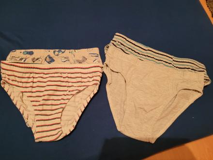 Slipy, st. bernard,140