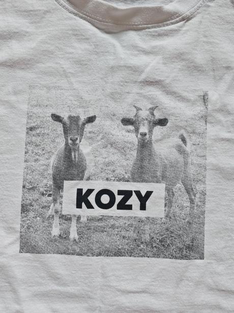 Pánske tričko kozy, xxl