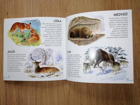 Kniha- zvieratá v 4 ročných obdobiach, 