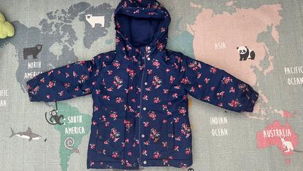 Zimna bundicka, young dimension,104