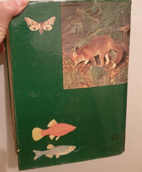 Svet živočíšnej ríše, 