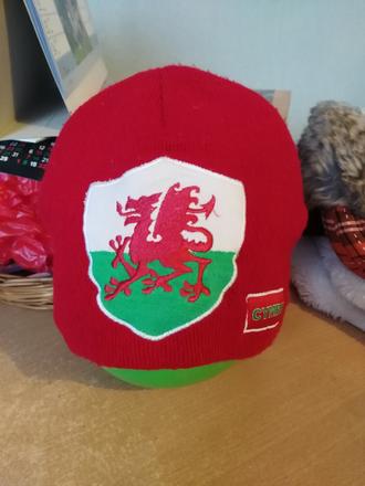 Ciapka, ladybird,134