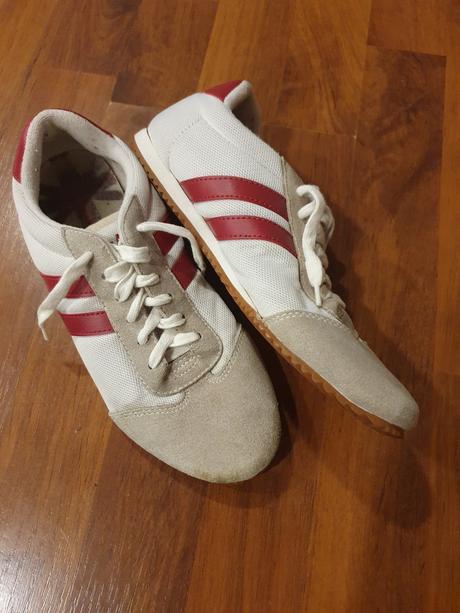 Halovky veľ. 37, 37