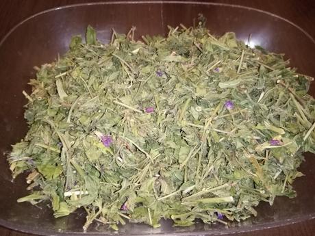 Vŕbovka malokvetá, 