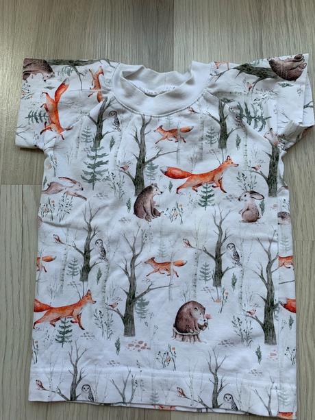 Pyzamkovo v80/86, 80