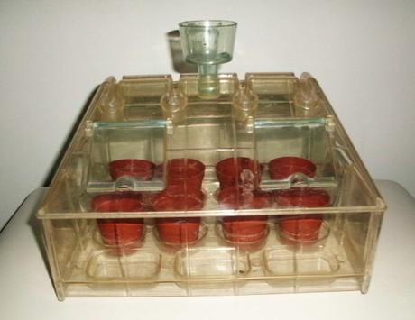 Prvý skleník pre malých pestovateľov,