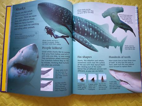 Usbourne children's encyclopedia top stav, 