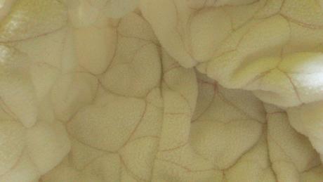 Top vestička, c&a,104