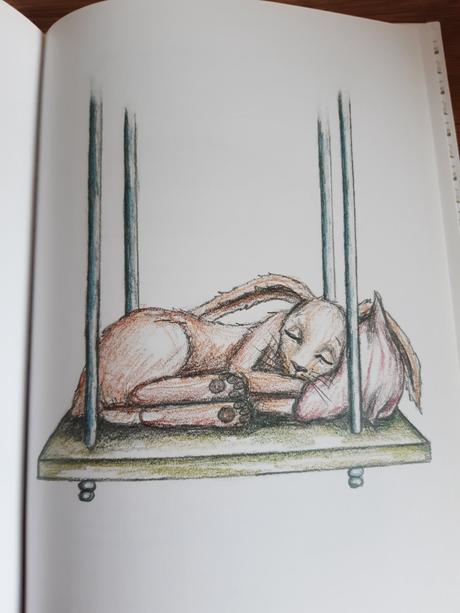 Zajko,ktorý chce zaspať, 