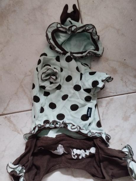 Oblečenie pre psíka, 