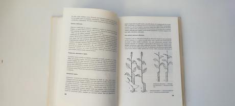 Kniha ovocinárstvo, 
