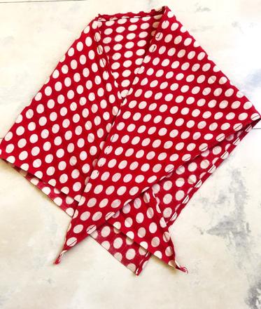 Bodkovaná plátenná pirátka, 