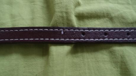 Novy obojok pre psika,