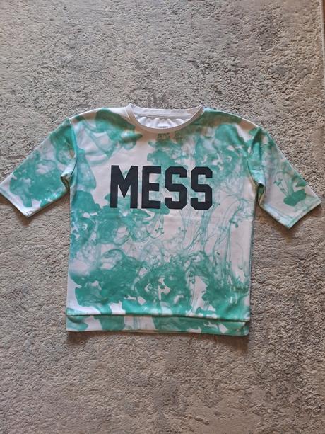 Mikina house, house,s