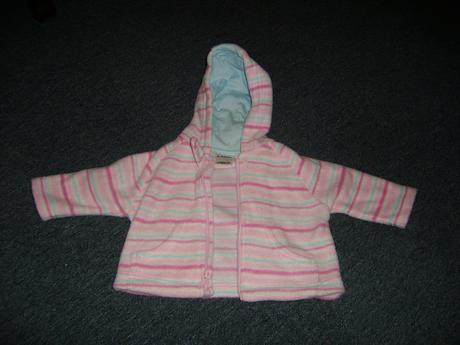 Bundička, ladybird,56