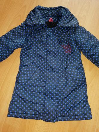 Bodkovaná vetrovka, 104