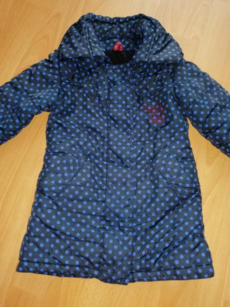 Bodkovaná vetrovka, 104