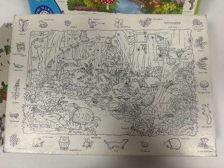 Kto hľadá, ten nájde v lese puzzle,