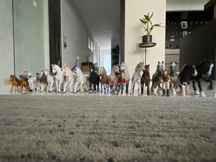 Schleich koniky,