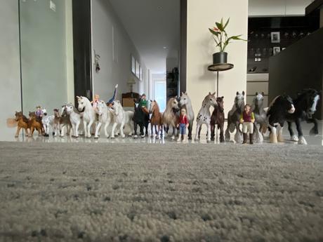 Schleich koniky,