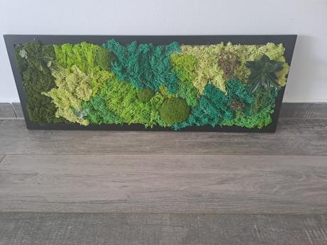 Machový obraz,  živý, 