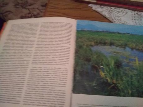 Kniha o zvieratkách, 