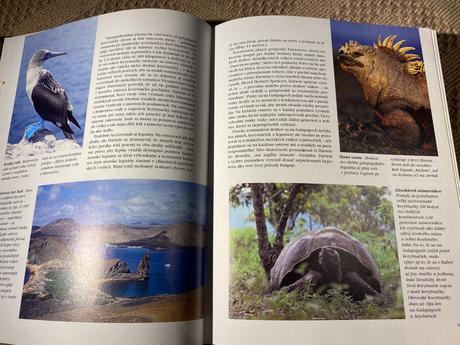 Krásna kniha planéta tajuplných svetov encyklopédi, 