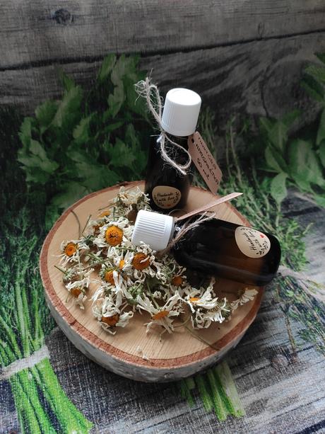 Tinktúra margarétka, 