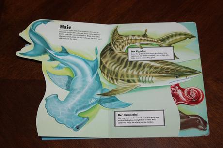 Leporelo meereslebewesen, 