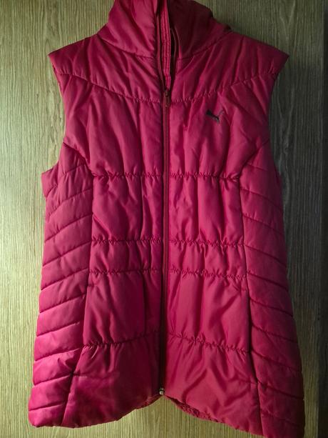 Vesta, puma,l