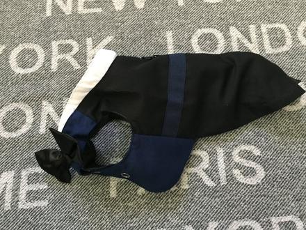 Pes, sviatocne oblecenie s motylikom xs, 