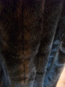 Francúzsky umelý kožuch, m