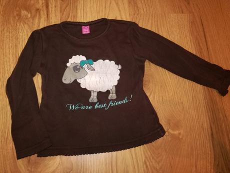 Tričko, dopodopo,104