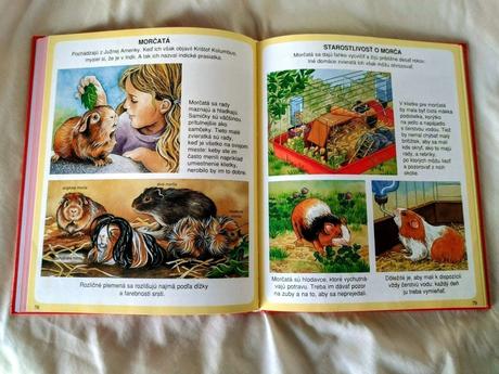 Obrázky domácich miláčikov, 