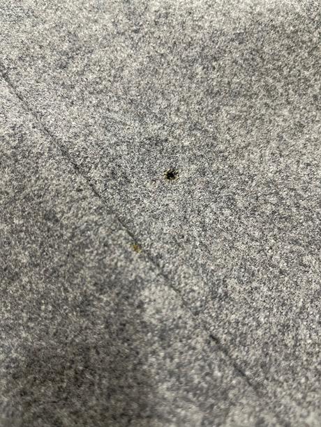 Benetton 44, benetton,44