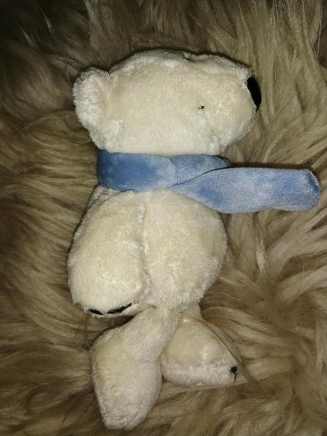 Ľadový medvedík nici, 