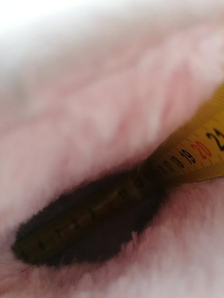 Dúhové hunculky, f&f,20