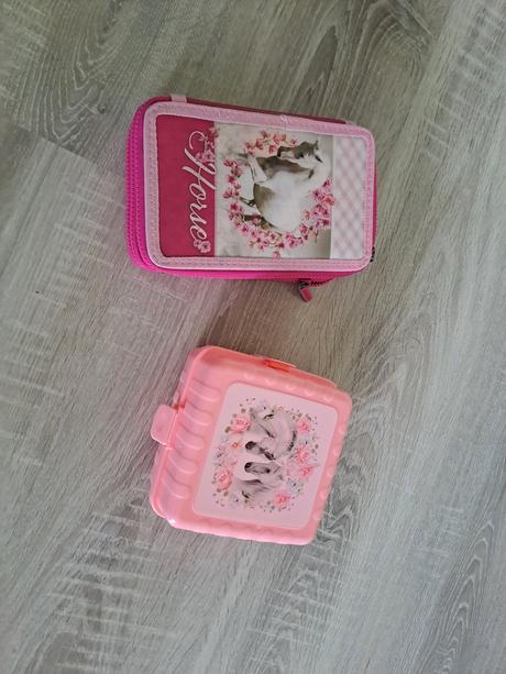 Školská taška topgal, 