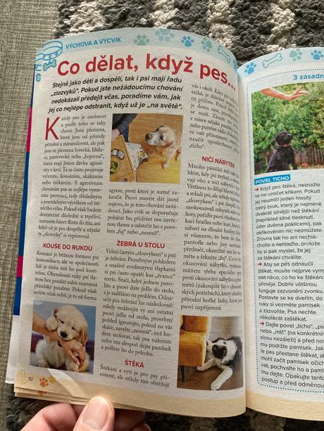 425 skvělých tipů, jak si vybrat nejlepšího pejska, 