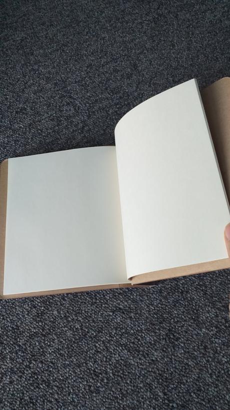 Dievcensky zapisnik pariz, 