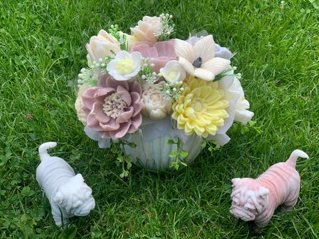 Mydlova kytica s mydlovim psikom, 