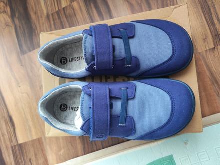 Blifestyle crocodile, 31