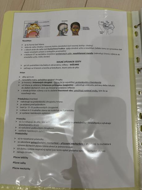 Biológia maturita-ľudské telo, sústavy človeka, 