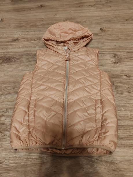 Vesta cocodrillo 152, coccodrillo,152