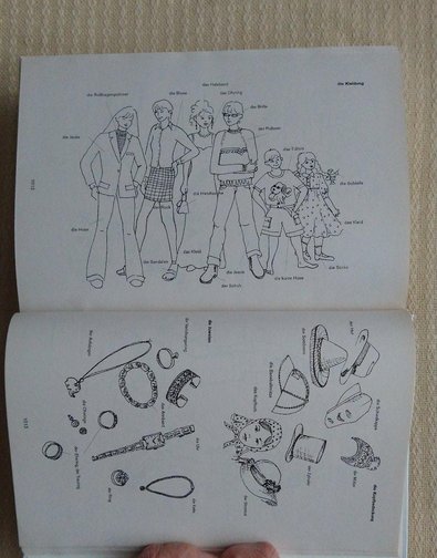 Veľký nem-slov a slov-nem slovník, 