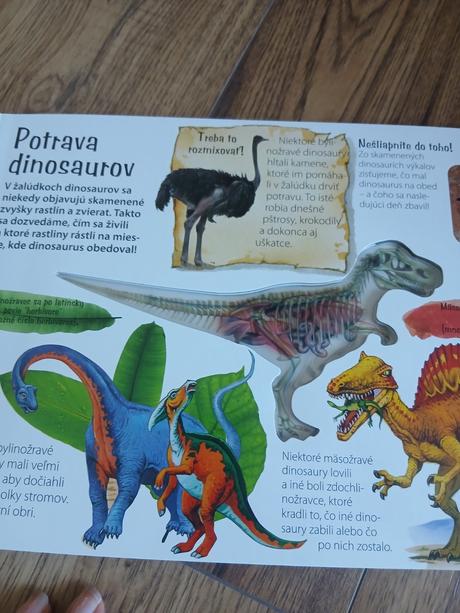 Donisaurus, 