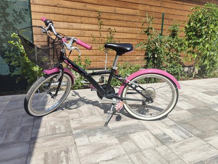 Dievčenský bicykel, 20